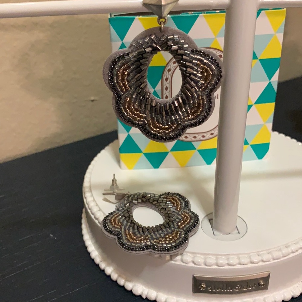 Earrings